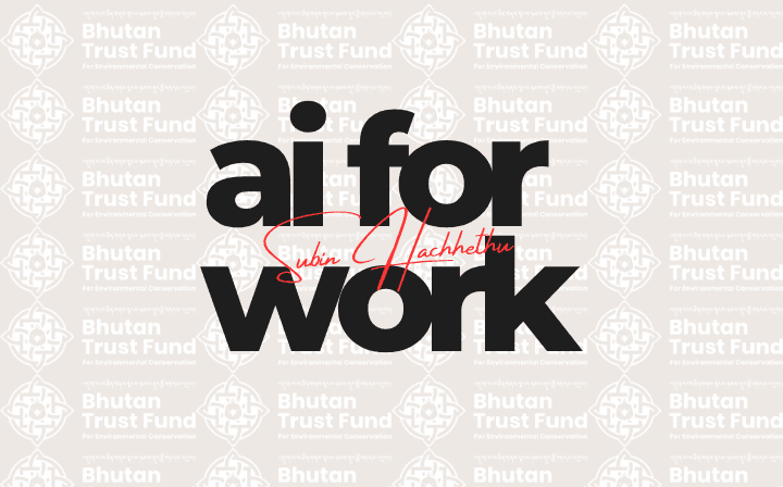 AI for Work delivered for Bhutan Trust Fund (BTFEC)